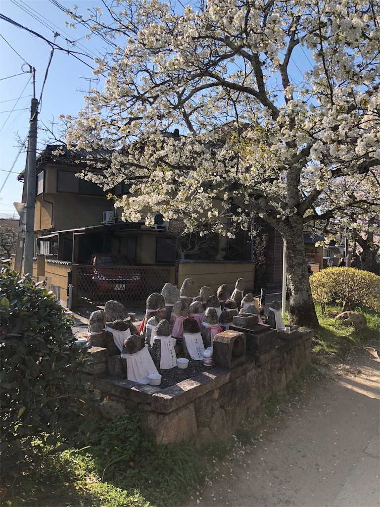 f:id:kamemochi:20200411220654j:image