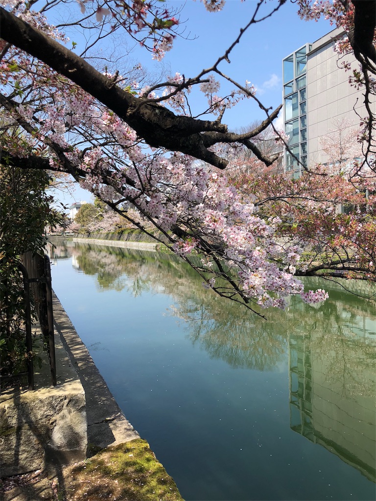 f:id:kamemochi:20200411220730j:image