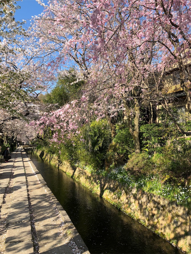 f:id:kamemochi:20200411220733j:image