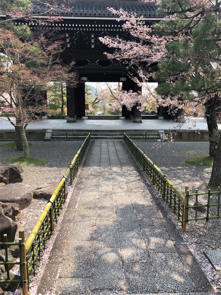 f:id:kamemochi:20200411220853j:image