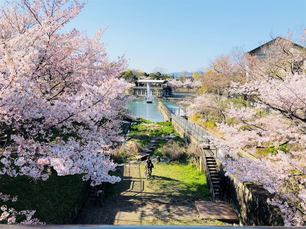 f:id:kamemochi:20200411220905j:image