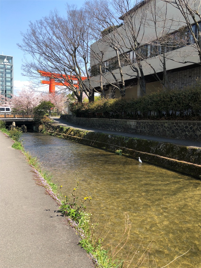 f:id:kamemochi:20200411220908j:plain