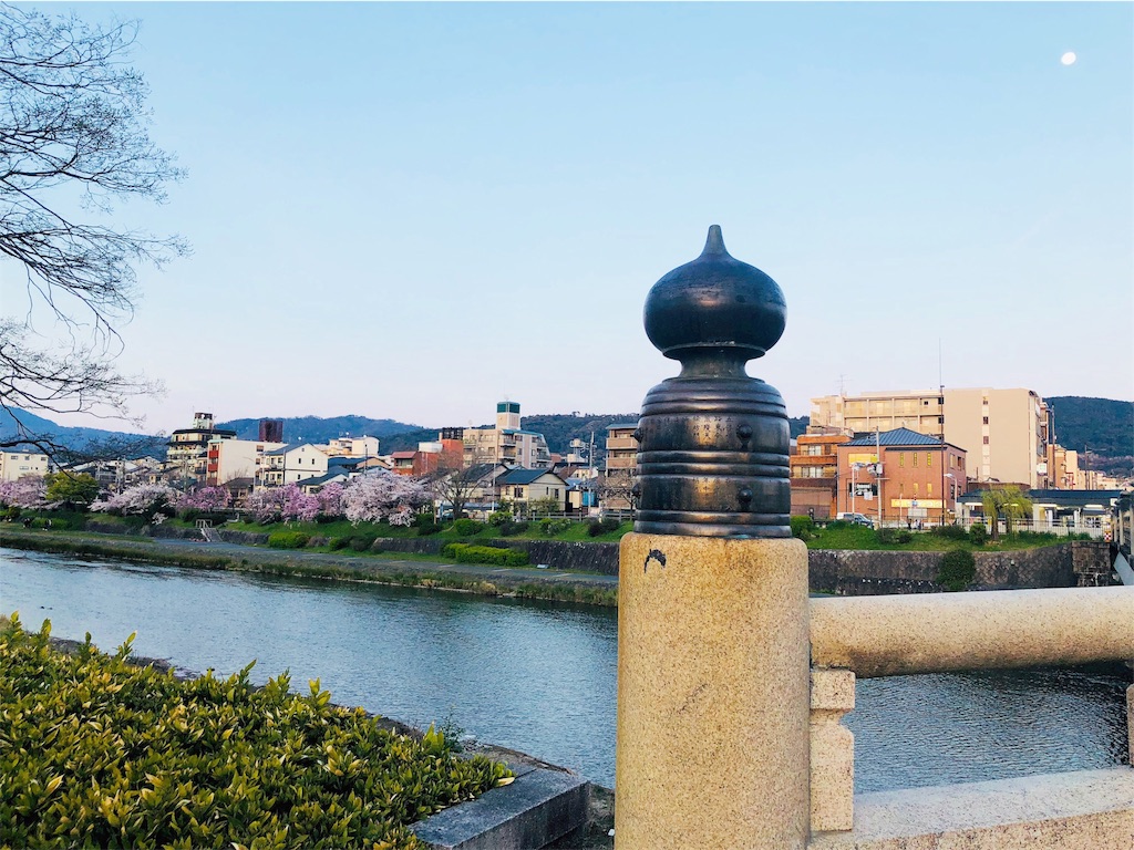 f:id:kamemochi:20200412071834j:image