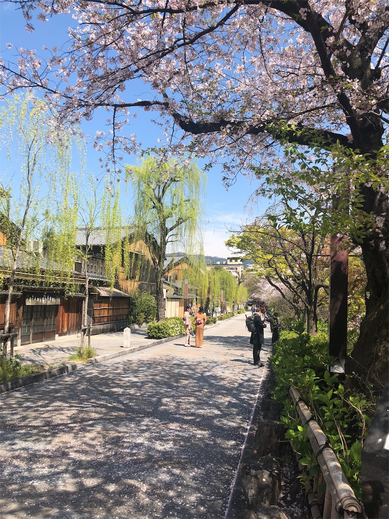 f:id:kamemochi:20200412071838j:image