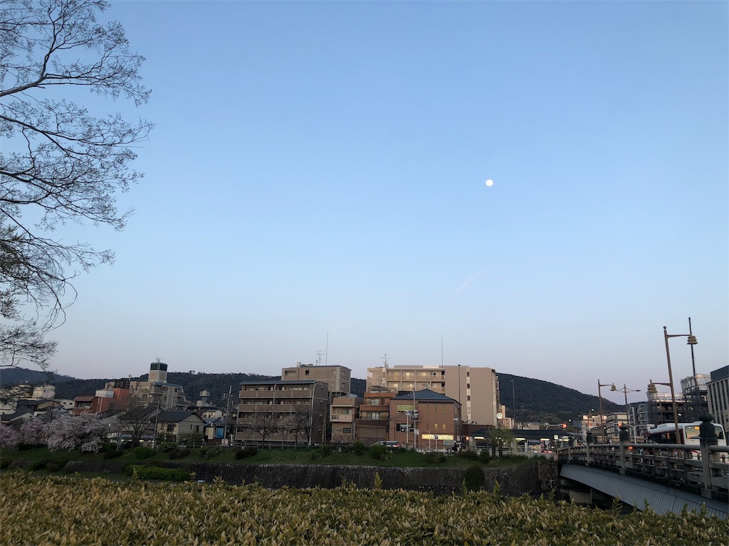 f:id:kamemochi:20200412071842j:image