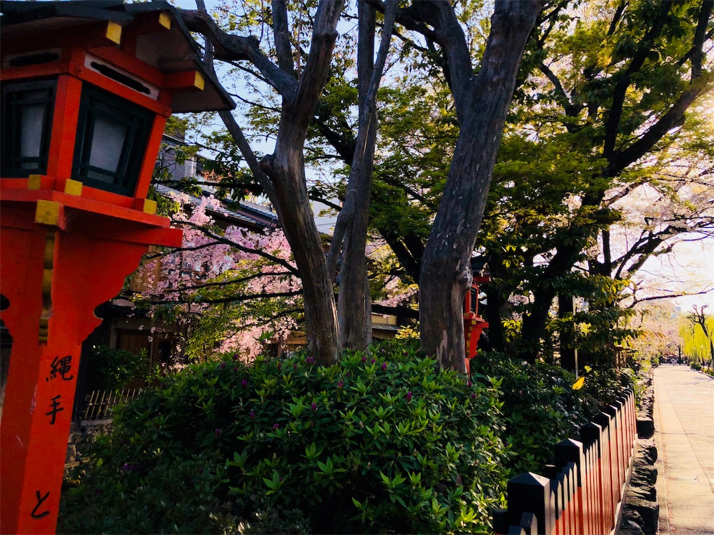 f:id:kamemochi:20200412071846j:image