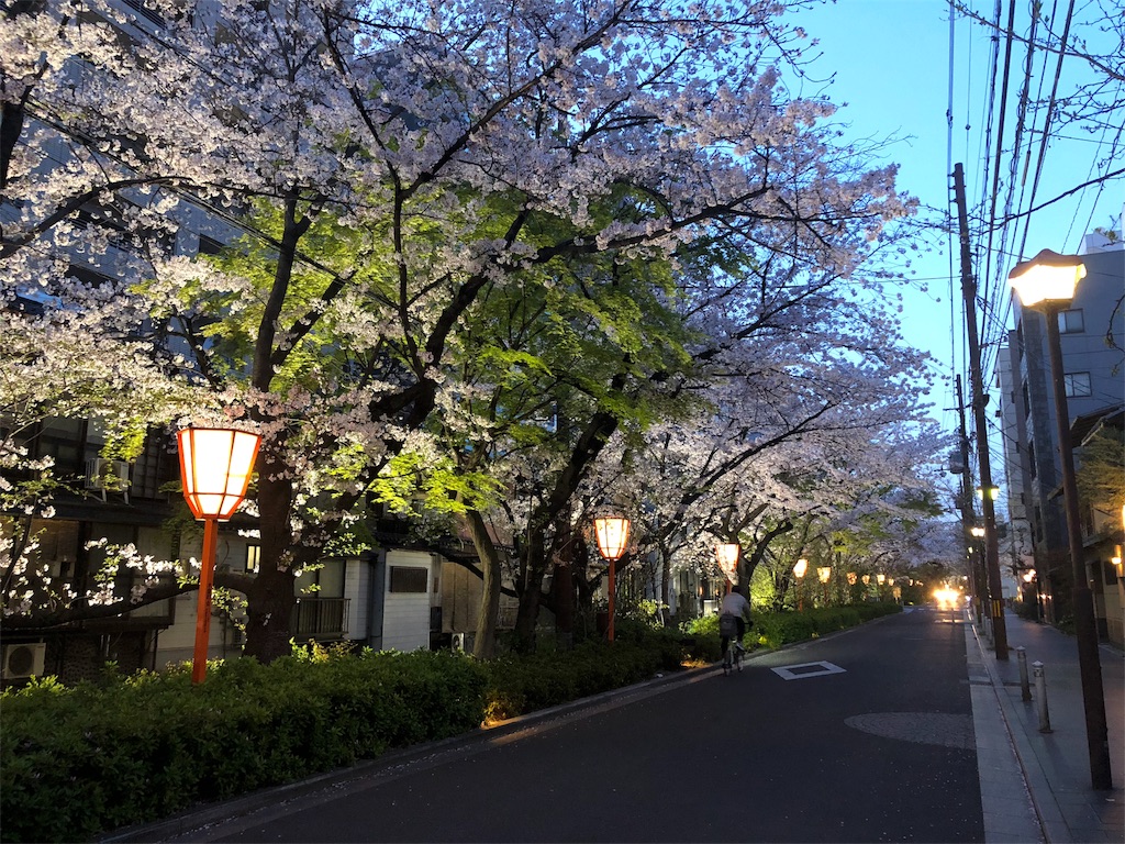 f:id:kamemochi:20200412071853j:image