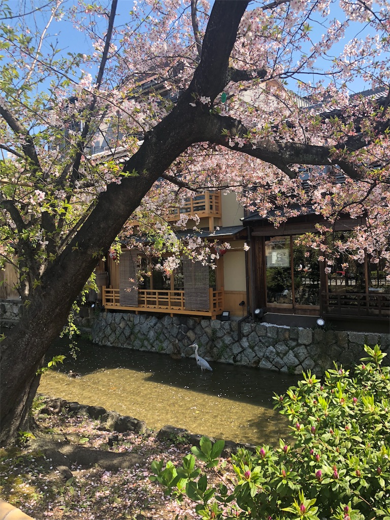 f:id:kamemochi:20200412071900j:image