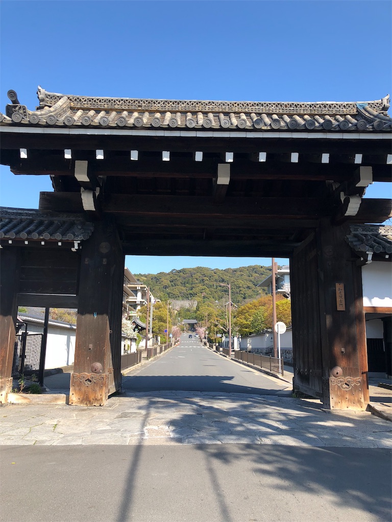 f:id:kamemochi:20200412071903j:image