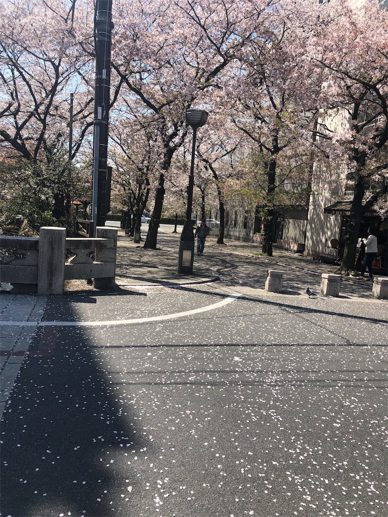 f:id:kamemochi:20200412071910j:image
