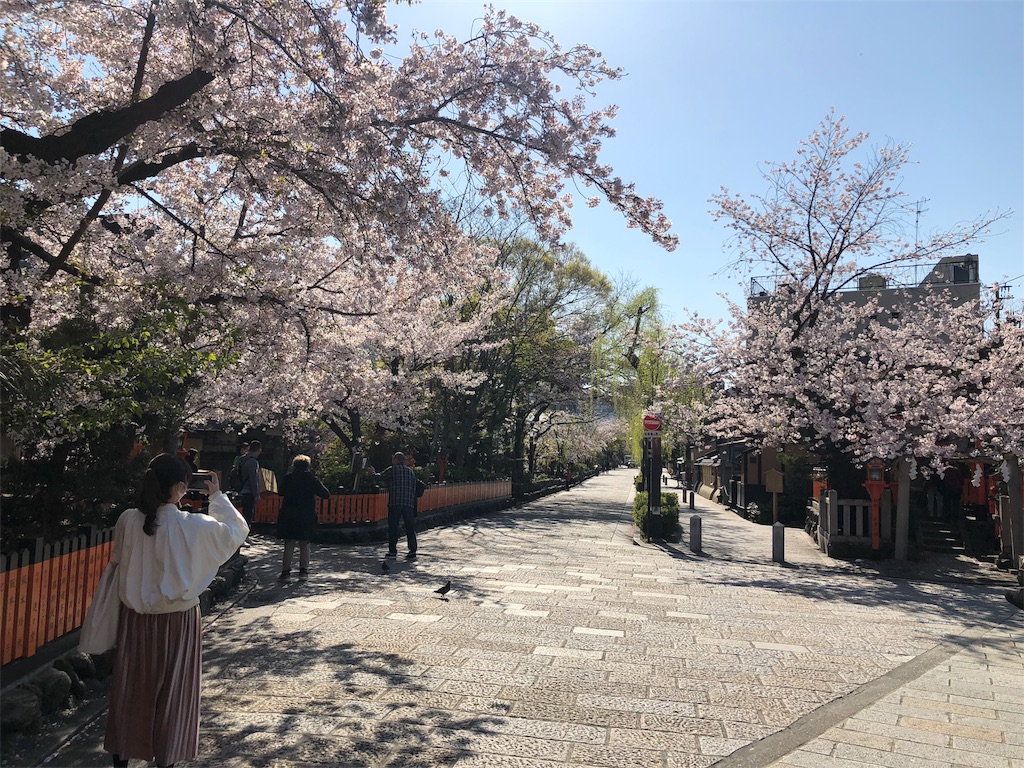 f:id:kamemochi:20200412071914j:image