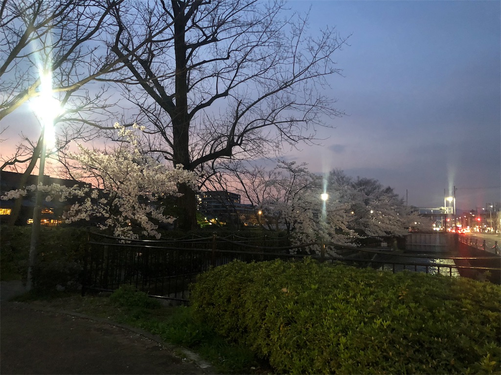 f:id:kamemochi:20200412072540j:image