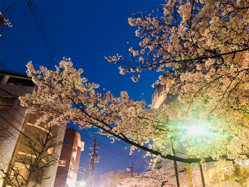 f:id:kamemochi:20200412072544j:image