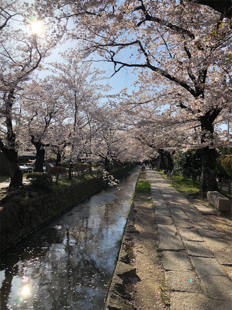 f:id:kamemochi:20200412072653j:image