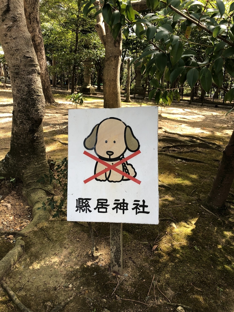 f:id:kamemochi:20200420183748j:plain
