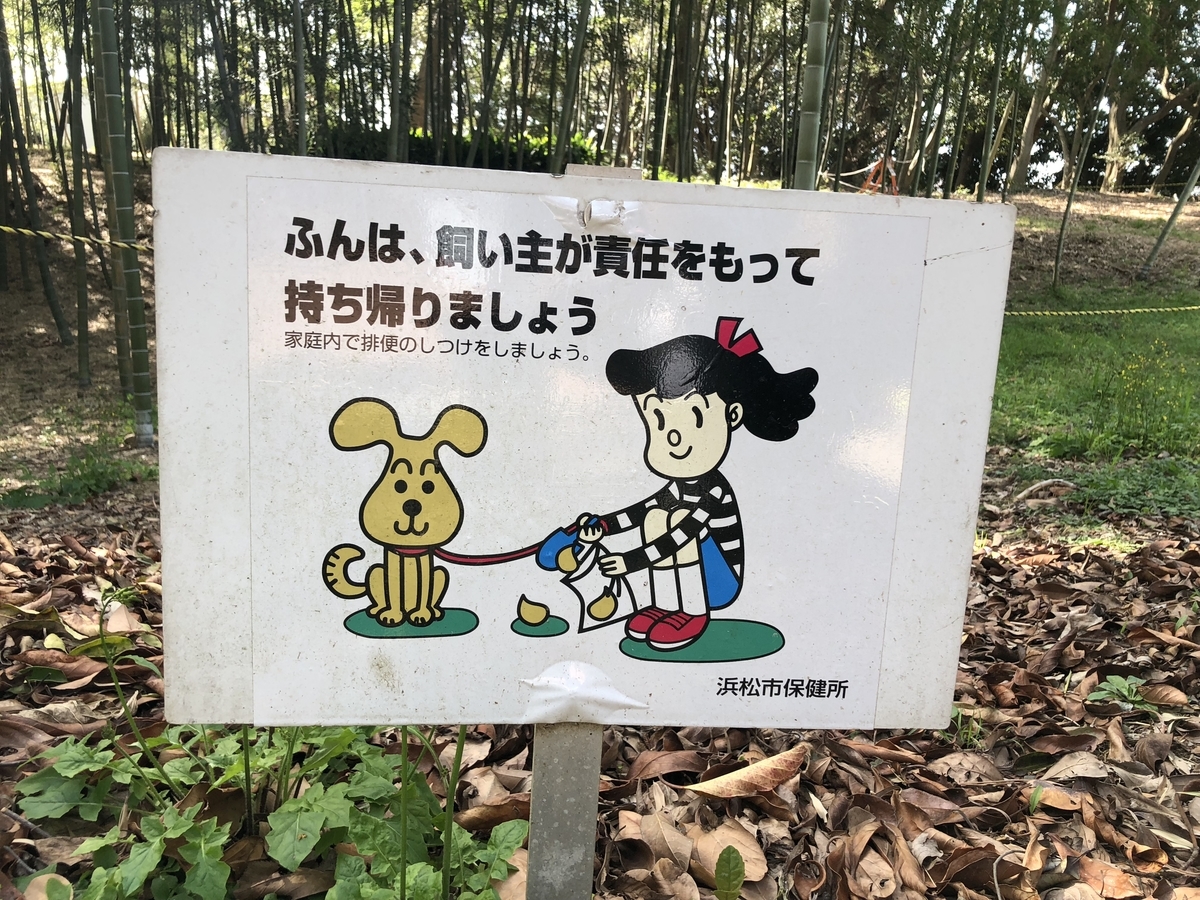 f:id:kamemochi:20200420183913j:plain