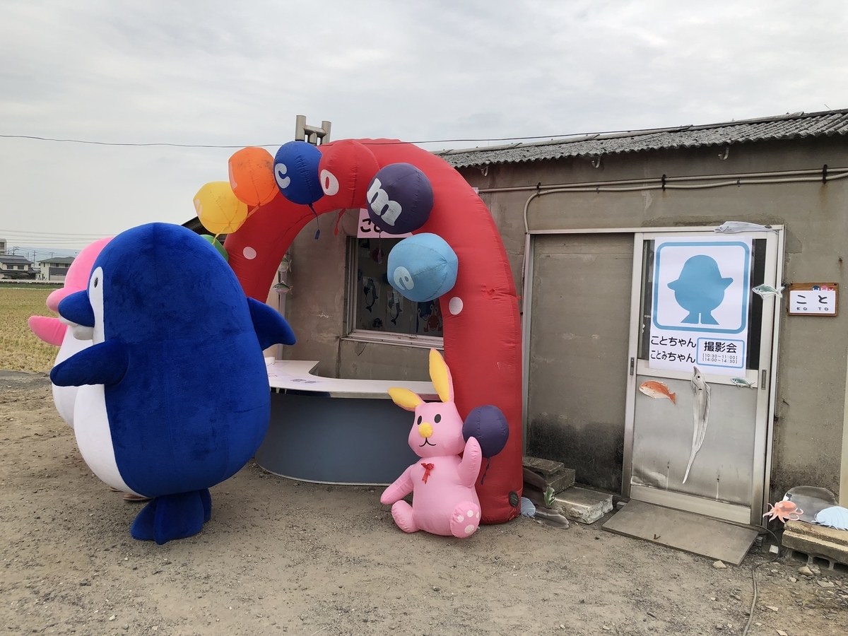 f:id:kamemochi:20200512140940j:plain