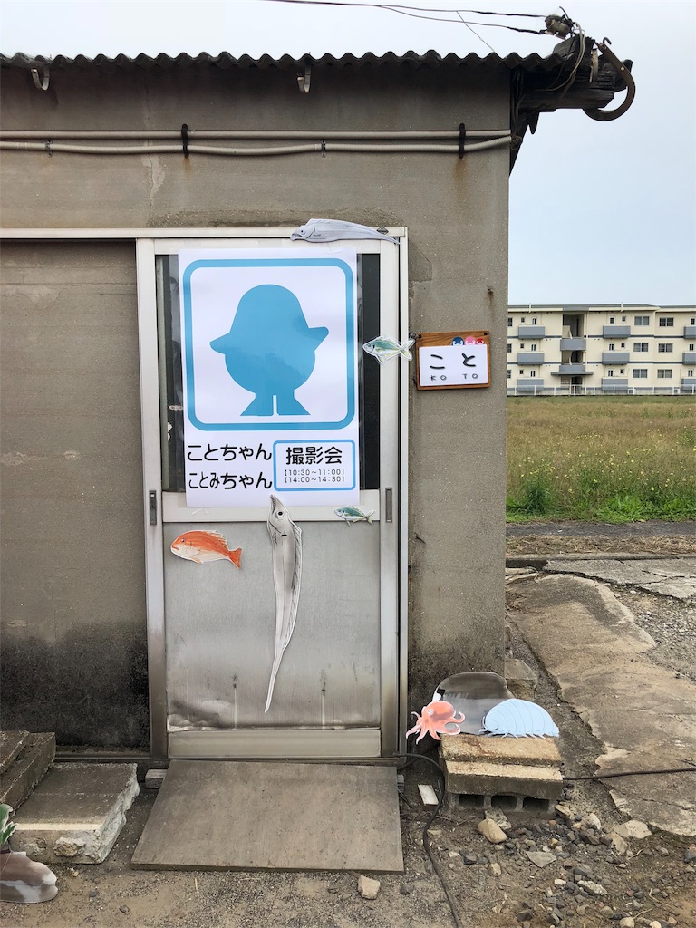 f:id:kamemochi:20200513173941j:image
