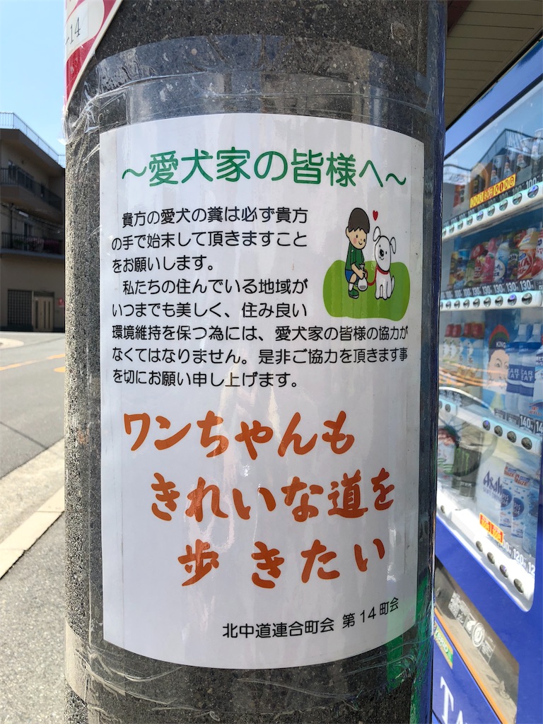 f:id:kamemochi:20200515101626j:image