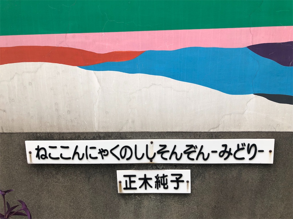 f:id:kamemochi:20200610195244j:image