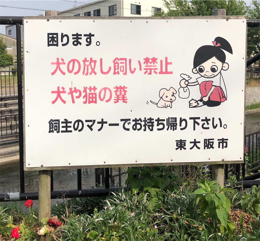 f:id:kamemochi:20200613164845j:image
