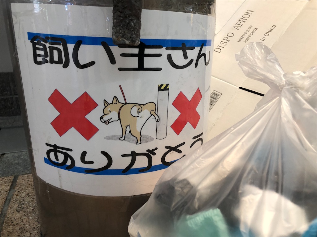 f:id:kamemochi:20200623143119j:image
