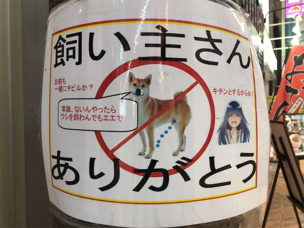 f:id:kamemochi:20200623143122j:image