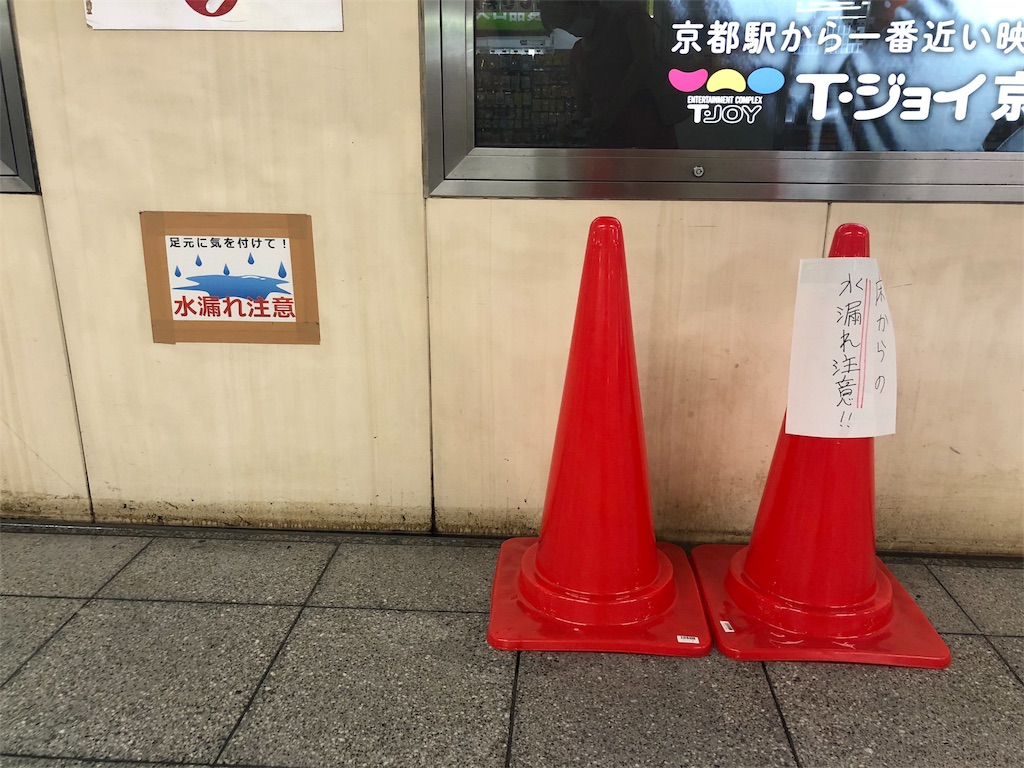 f:id:kamemochi:20200711054238j:image