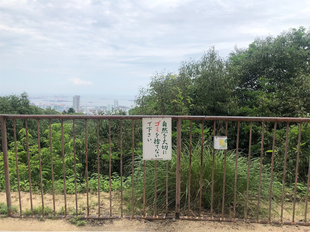 f:id:kamemochi:20200723150552j:image f:id:kamemochi:20200723150552j:image