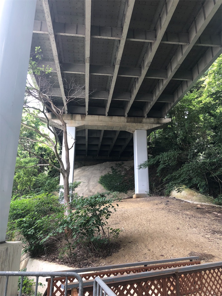 f:id:kamemochi:20200723150806j:image