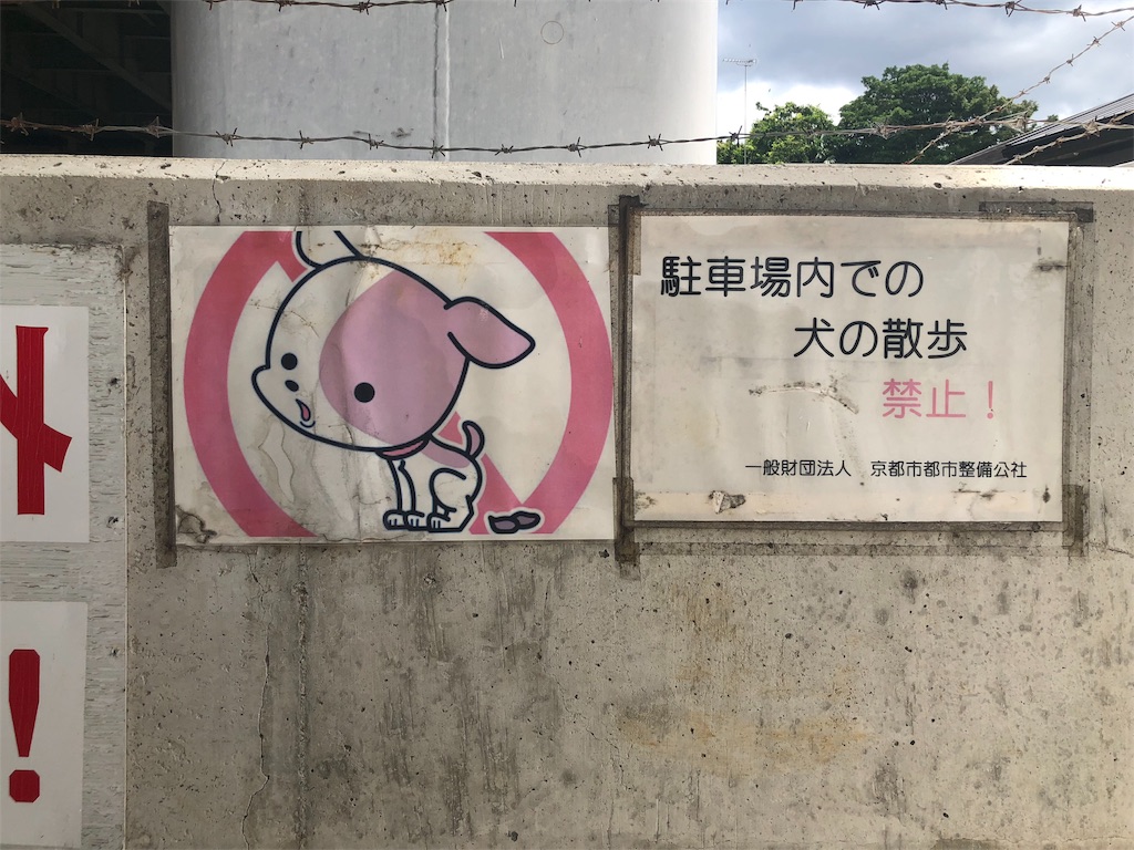 f:id:kamemochi:20200723150810j:image