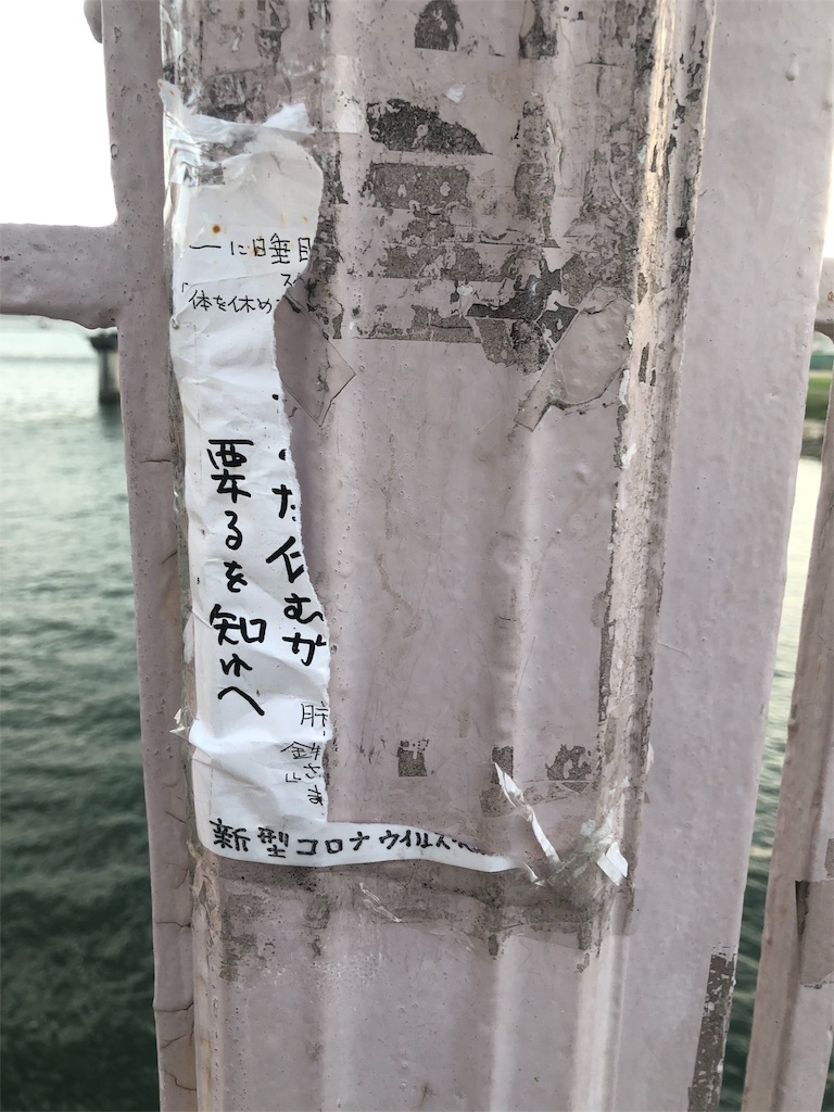 f:id:kamemochi:20200801175709j:image