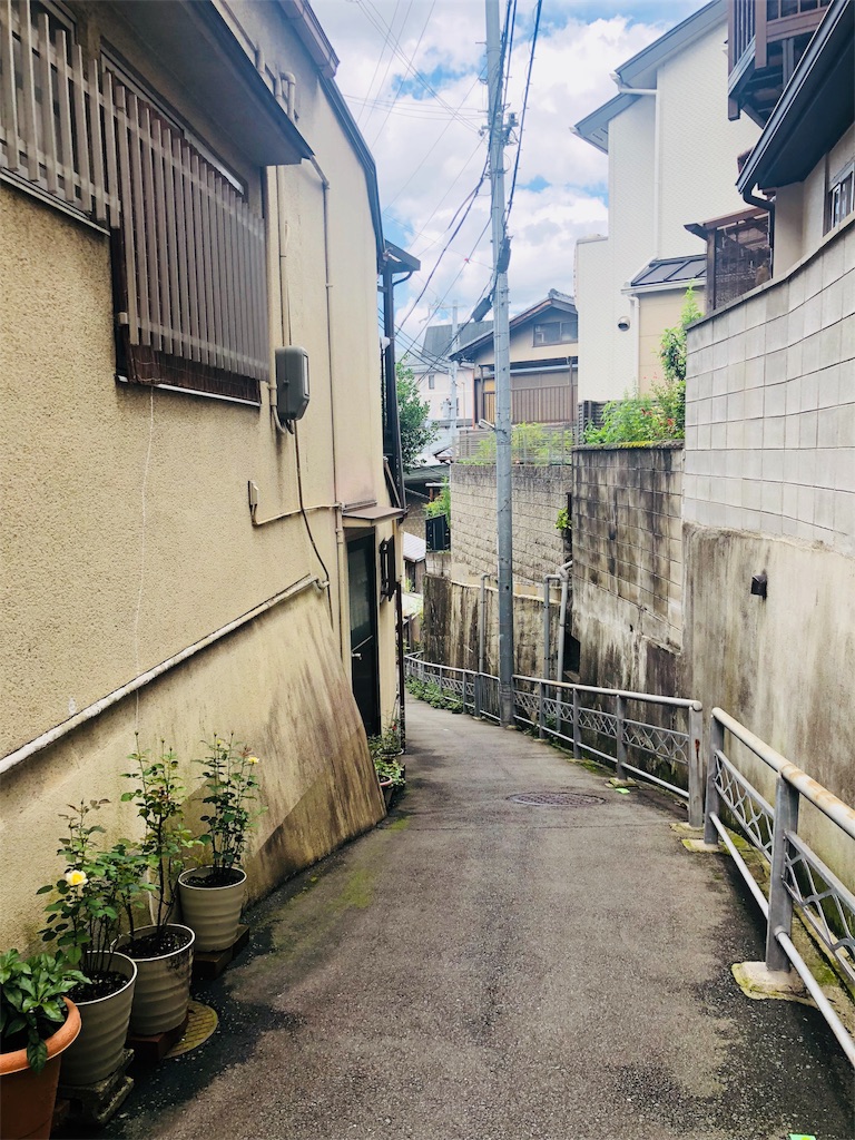 f:id:kamemochi:20200803191603j:image