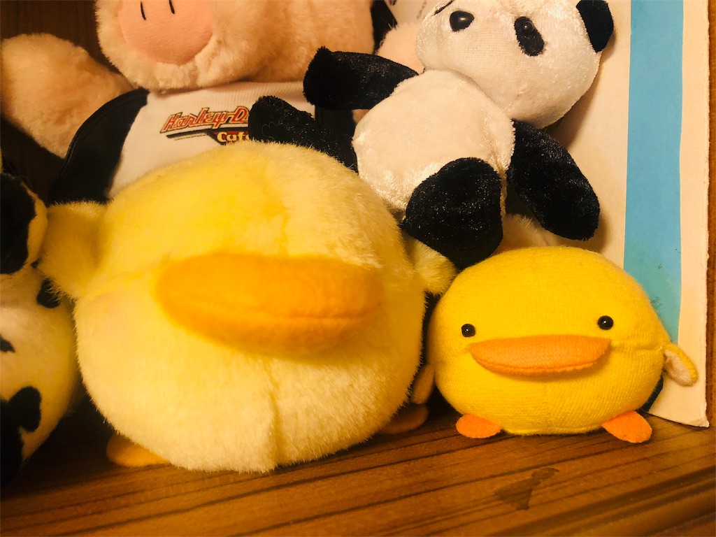 f:id:kamemochi:20200826150213j:image f:id:kamemochi:20200826150213j:image