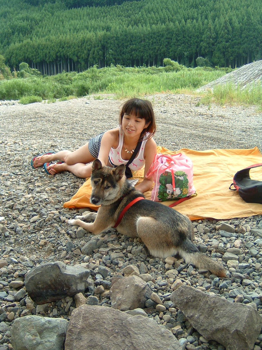f:id:kamemochi:20200922151146j:plain