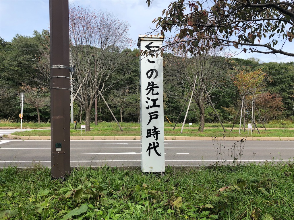 f:id:kamemochi:20201009011841j:image