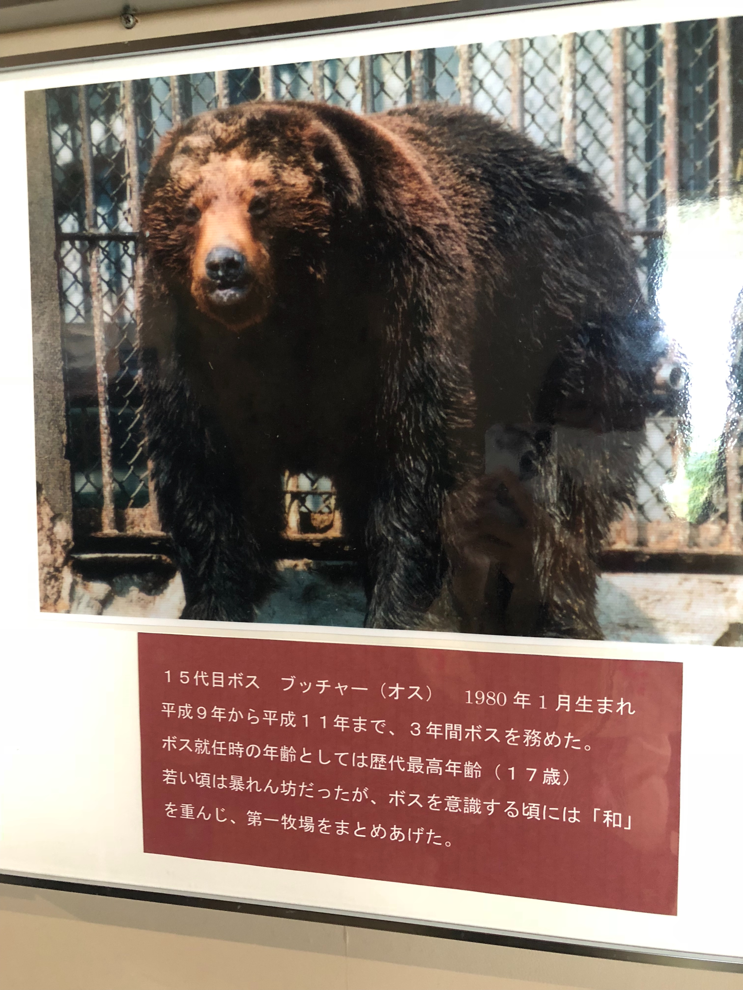f:id:kamemochi:20201009112622j:plain f:id:kamemochi:20201009112622j:plain