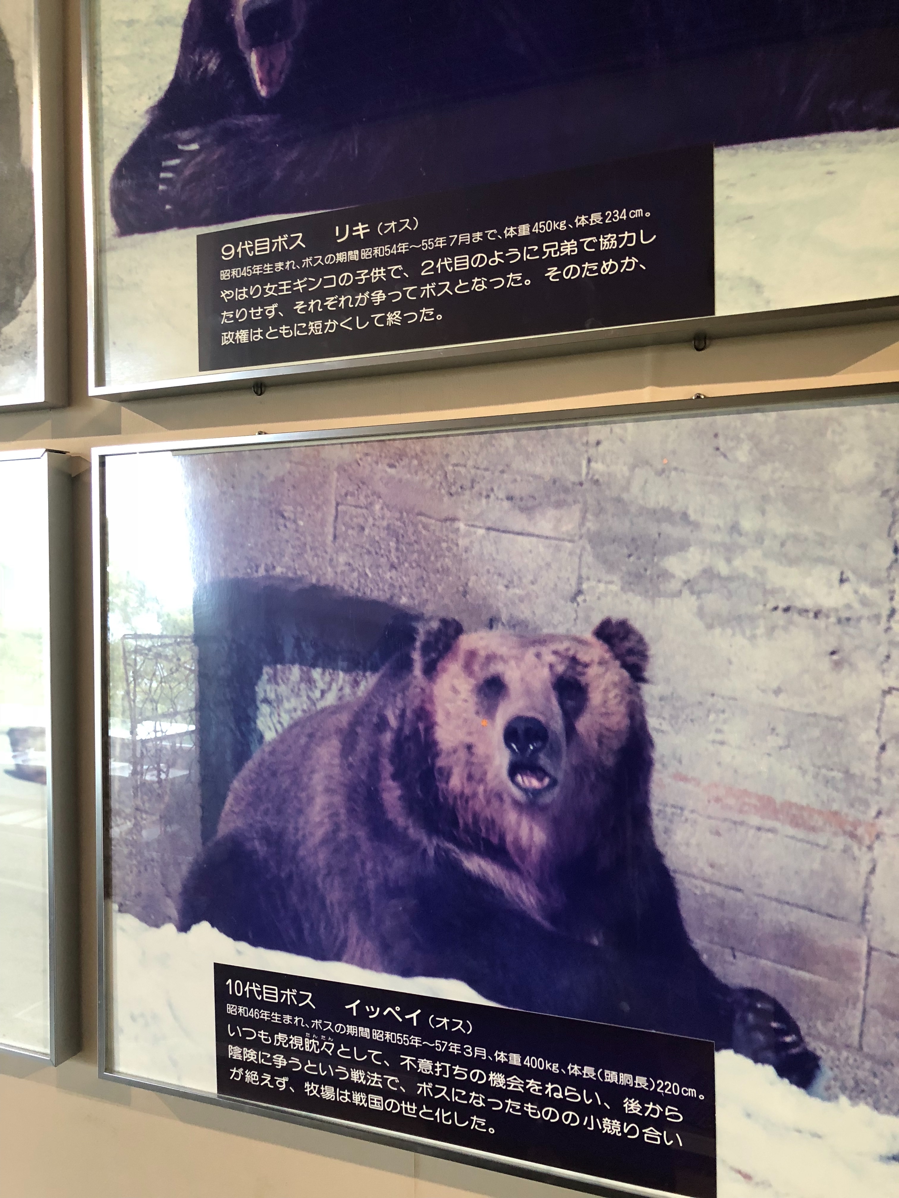 f:id:kamemochi:20201009112645j:plain f:id:kamemochi:20201009112645j:plain