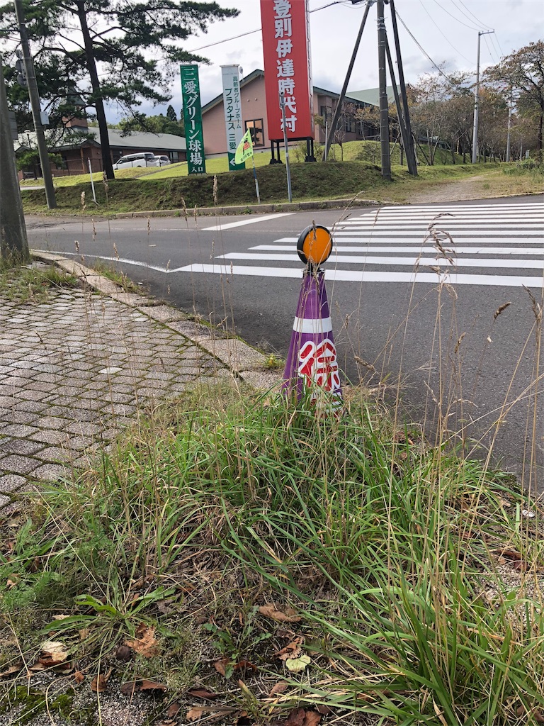 f:id:kamemochi:20201009145911j:image