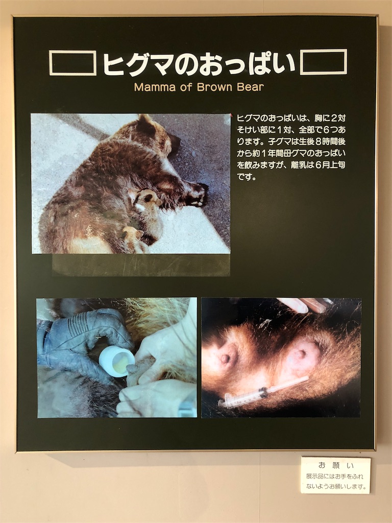 f:id:kamemochi:20201016112840j:image f:id:kamemochi:20201016112840j:image
