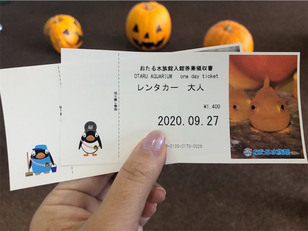 f:id:kamemochi:20201016112843j:image f:id:kamemochi:20201016112843j:image