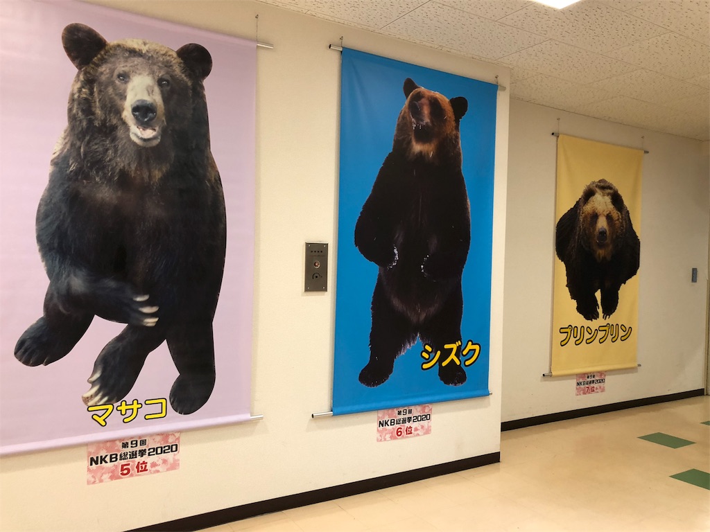 f:id:kamemochi:20201016112856j:image f:id:kamemochi:20201016112856j:image