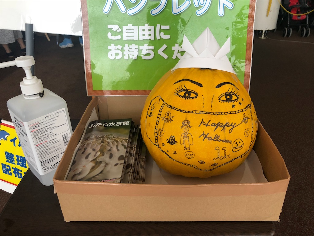 f:id:kamemochi:20201016112909j:image f:id:kamemochi:20201016112909j:image
