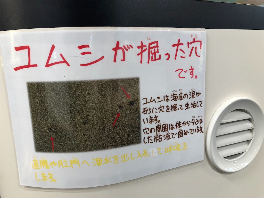 f:id:kamemochi:20201016113048j:image f:id:kamemochi:20201016113048j:image