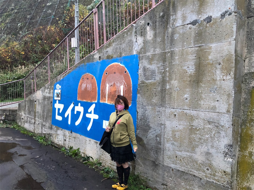 f:id:kamemochi:20201016113052j:image f:id:kamemochi:20201016113052j:image