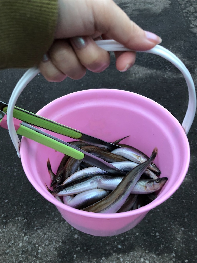 f:id:kamemochi:20201016113101j:image f:id:kamemochi:20201016113101j:image