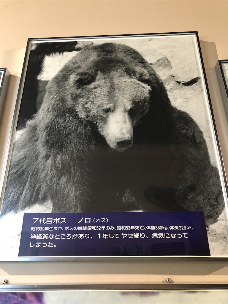 f:id:kamemochi:20201016113115j:image f:id:kamemochi:20201016113115j:image