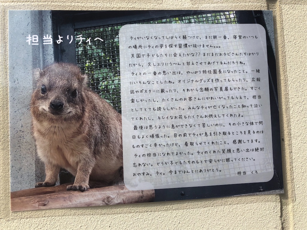 f:id:kamemochi:20201016115119j:image