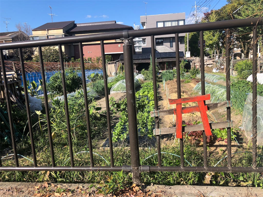 f:id:kamemochi:20201105171621j:image