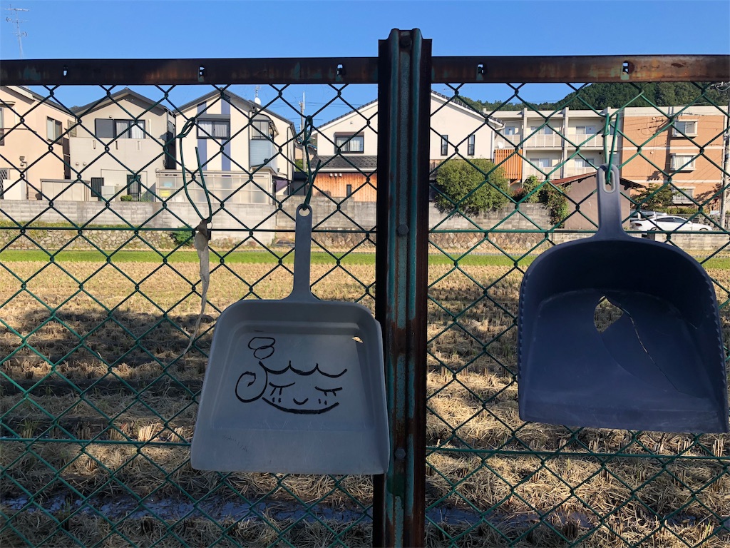 f:id:kamemochi:20201105171631j:image